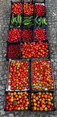 verschiedene Sorten Tomaten - Gurken